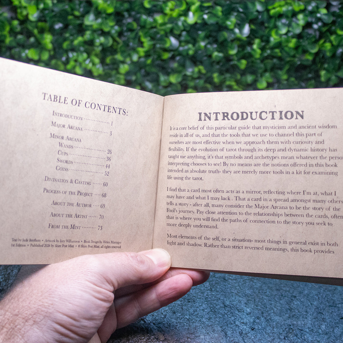 The Mint Tarot Compendium by Jude Brothers