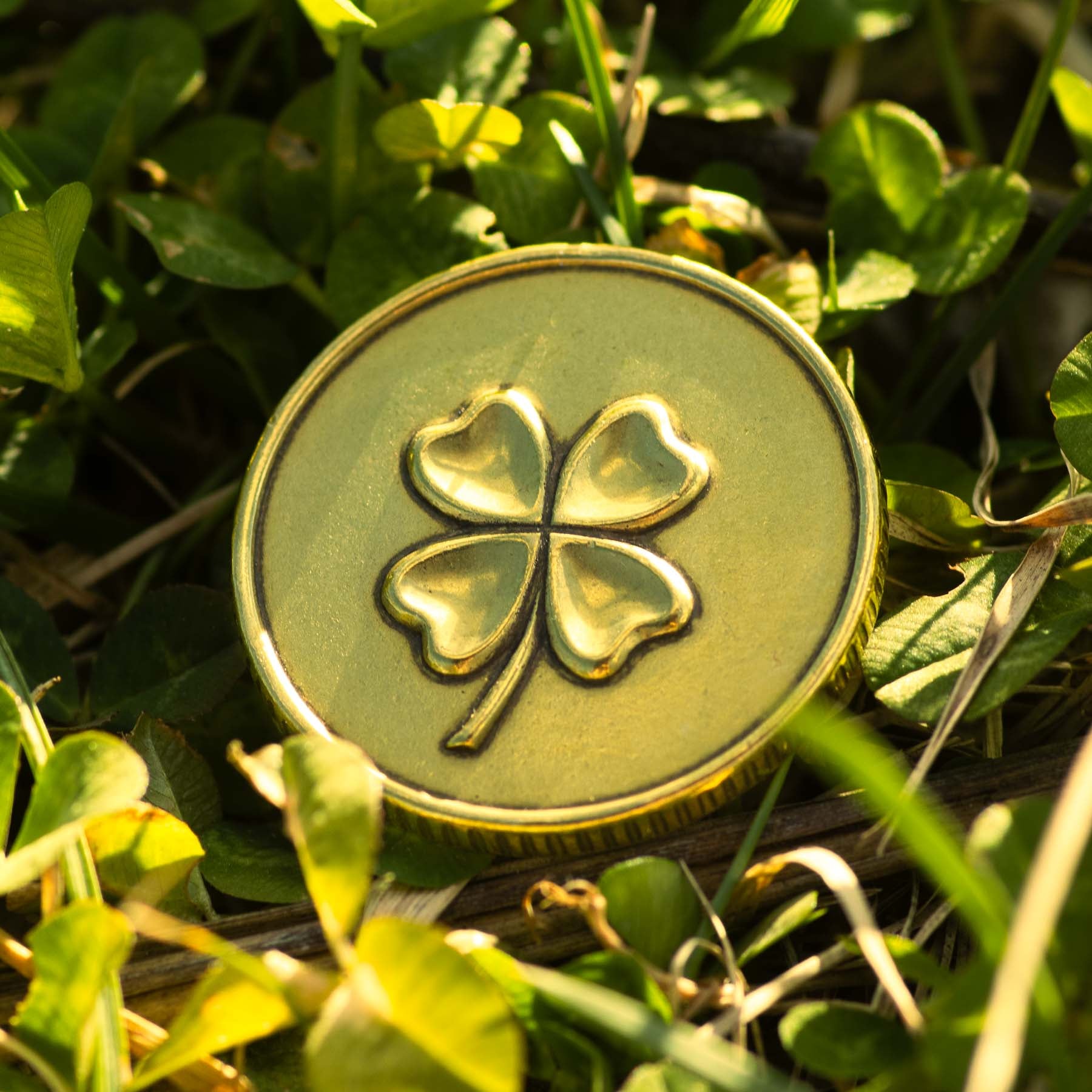 Lucky Brass Coin with Four Leaf Clover and Horseshoe