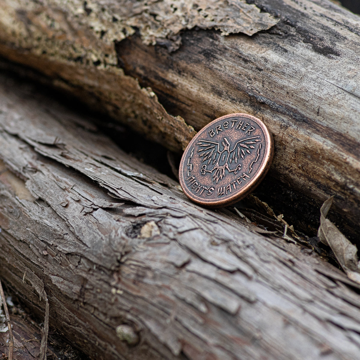 Night's Watch Copper Token