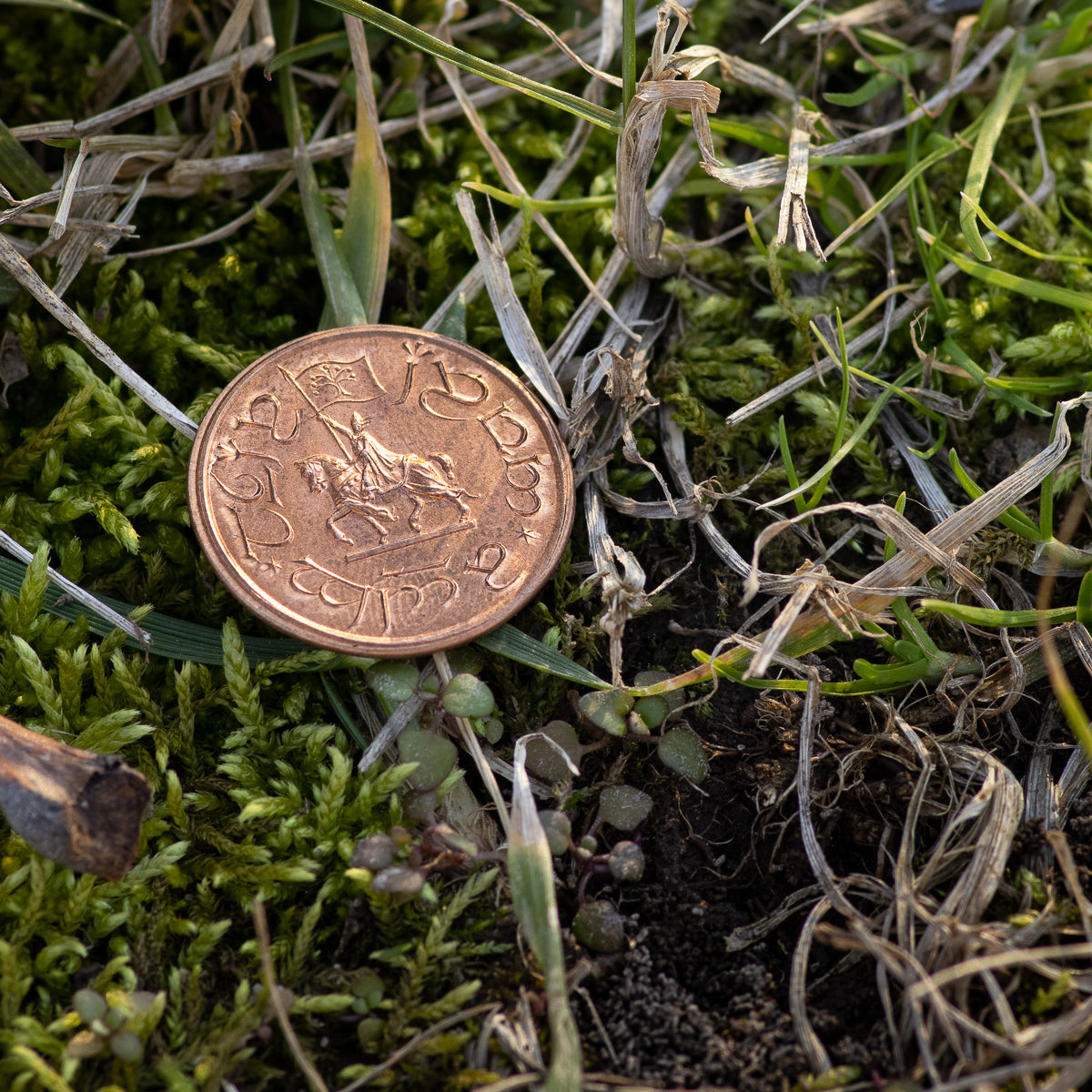 GONDOR™ Copper Penny