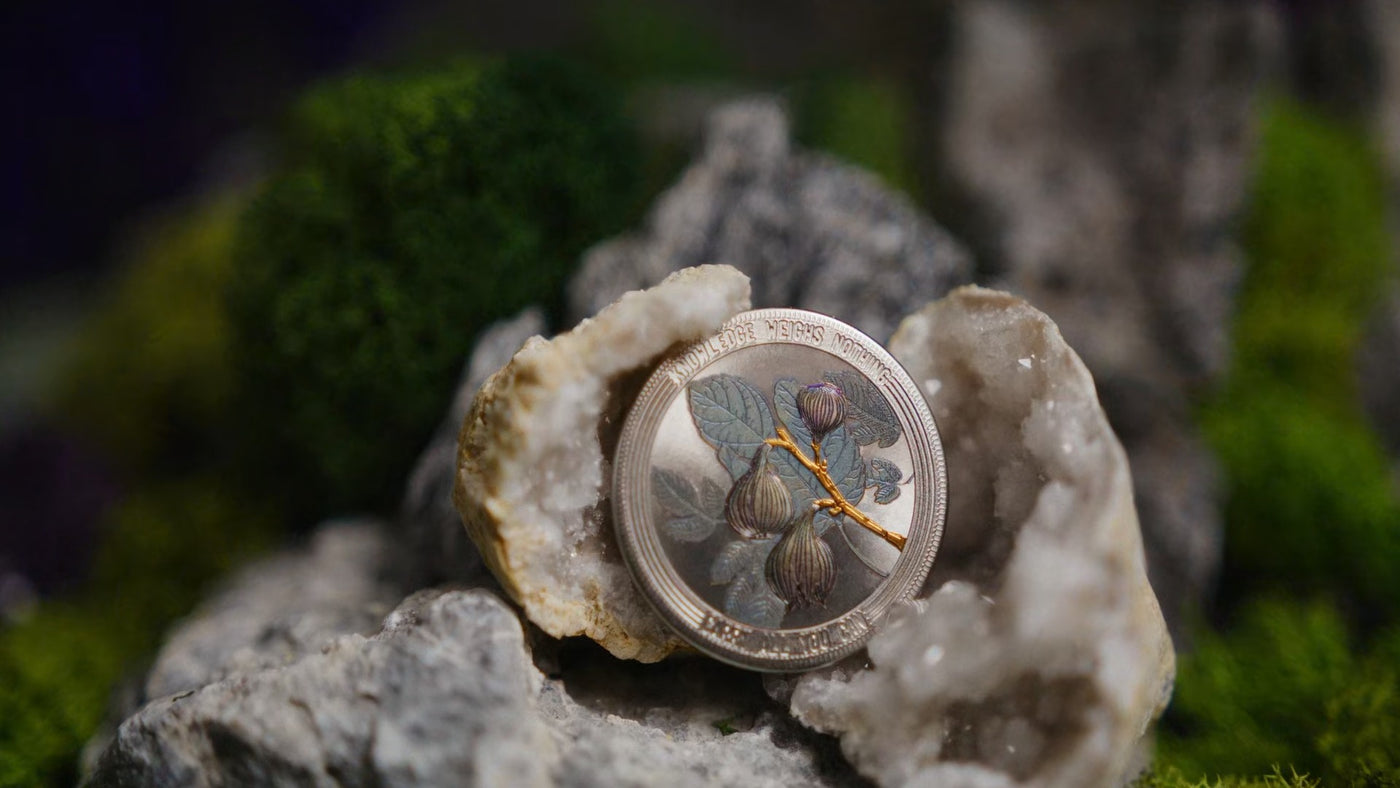 Crash Course Coins 2024!