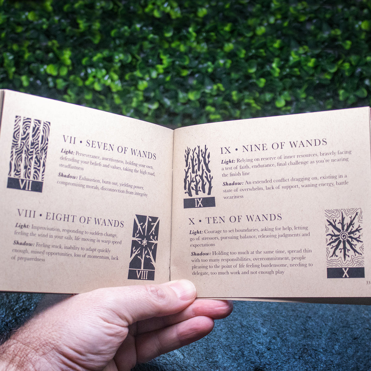 The Mint Tarot Compendium by Jude Brothers
