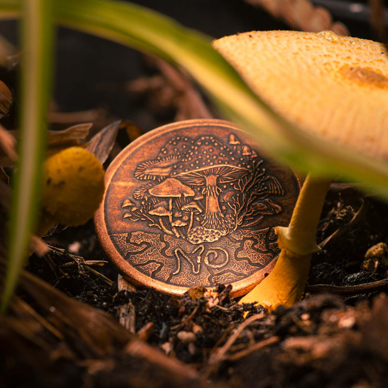 Fungus Fungible Copper Decision Maker Token Coin by Shire Post Mint, coin resting beside a mushroom stalk, depicting a mycelium network underground..