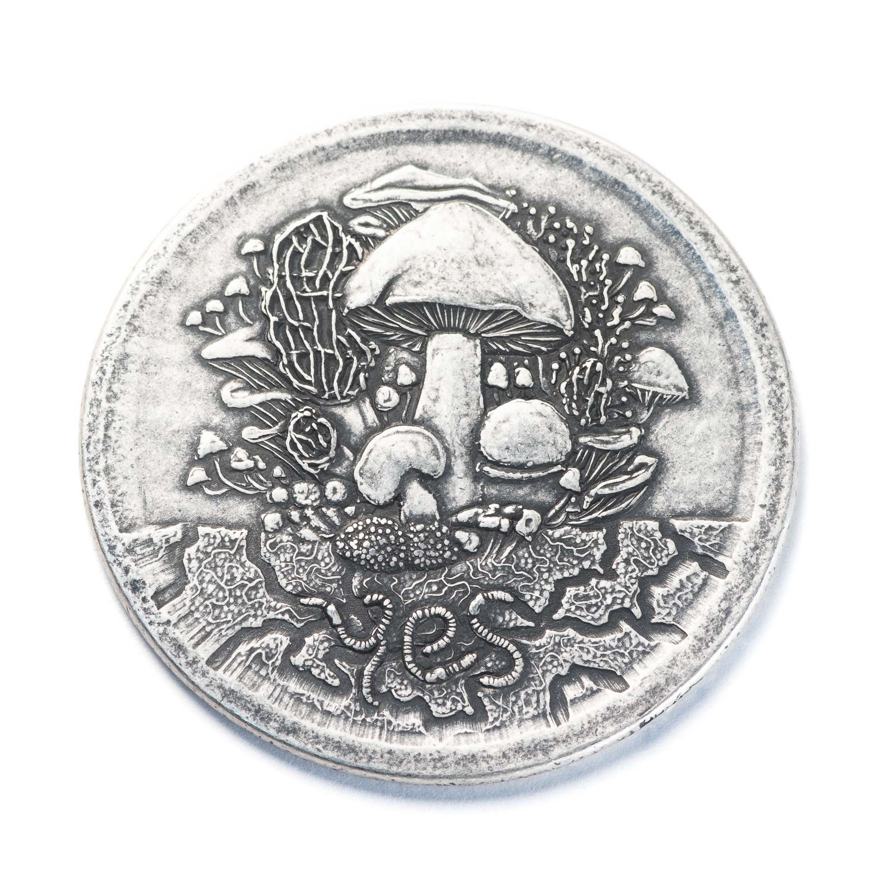 Fungible Token Decision Maker Coin in Solid Silver