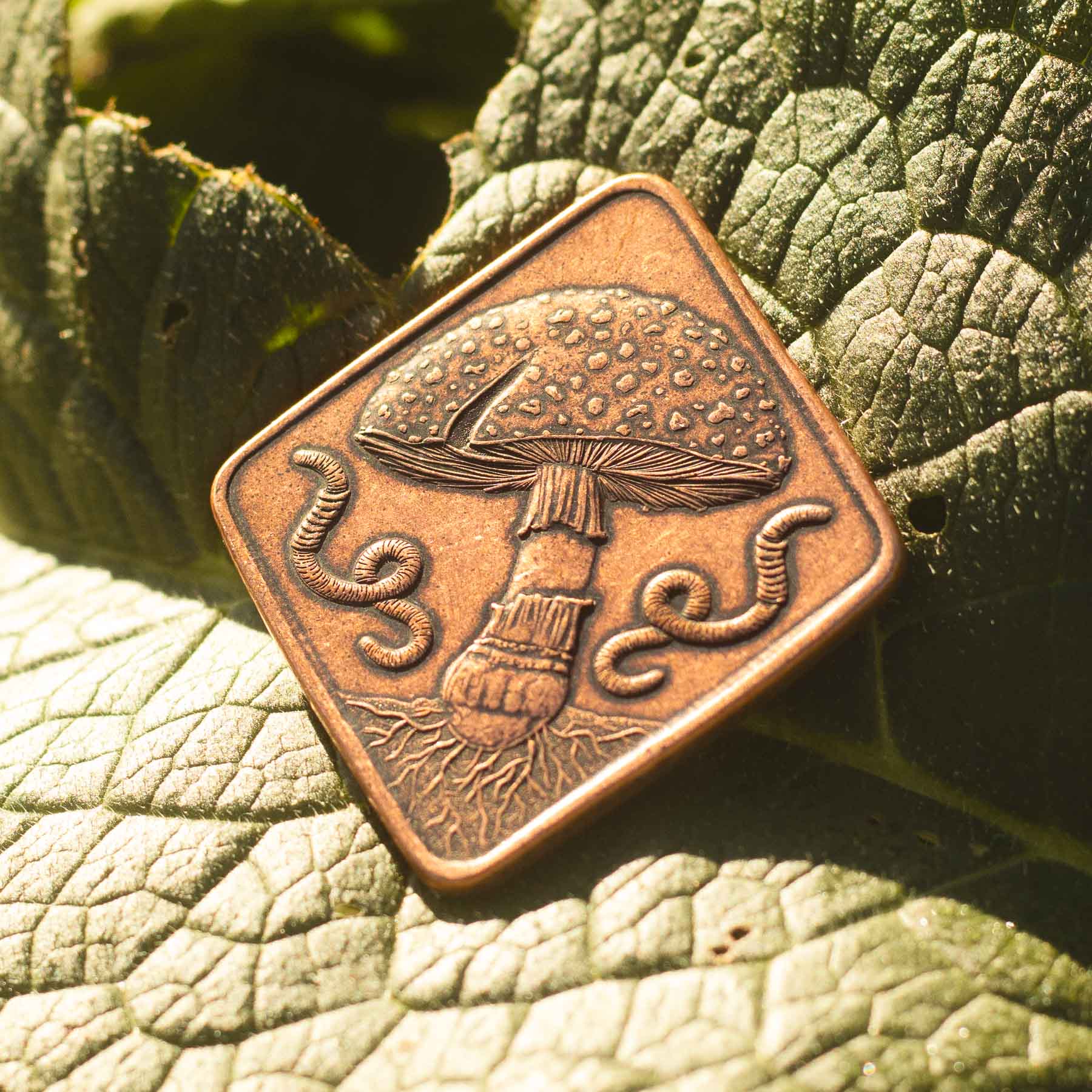 Amanita mushroom mycology fungus fruit earthworms mycelium by Shire Post Mint