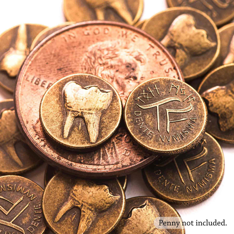 solid bronze tooth fairy coins | shire post mint