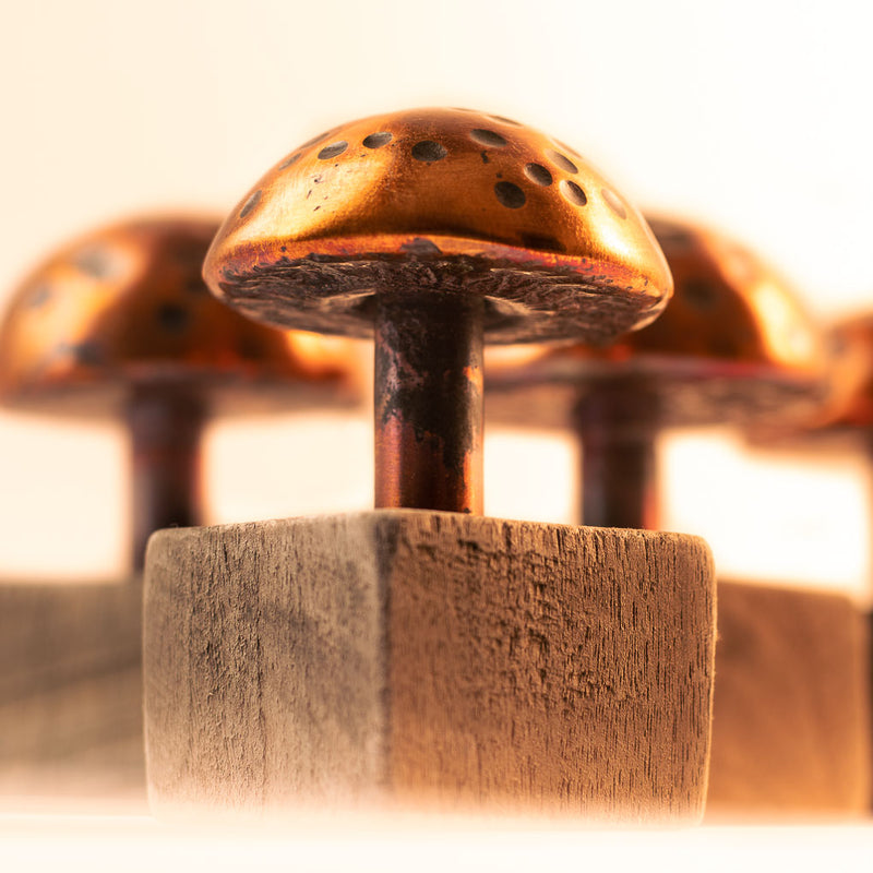 Copper Mushroom with Wood Stand