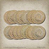 15 Quellon Greyjoy Half-Pennies Gaming Coins