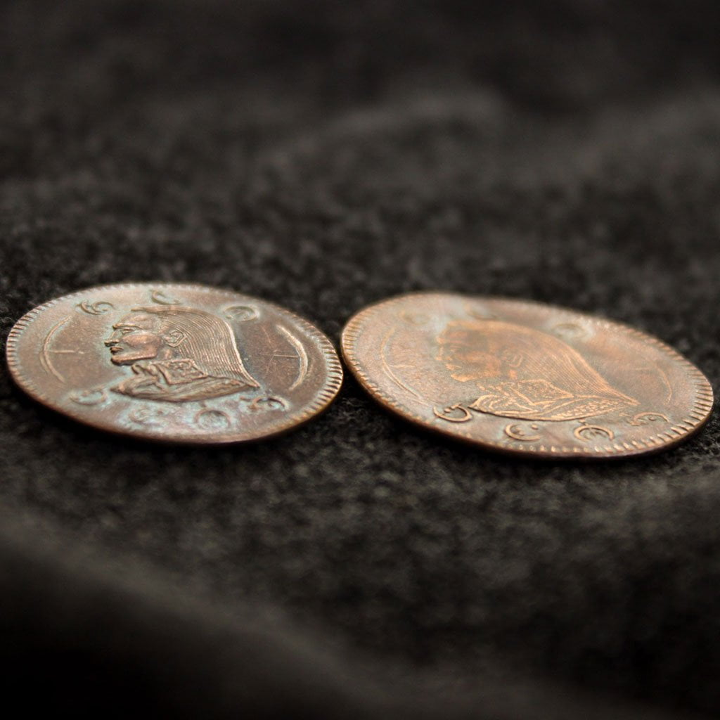 Mistborn coins - Vin and Kelsier flattened copper Clip of The Final Empire - novels by Brandon Sanderson - coin by Shire Post Mint